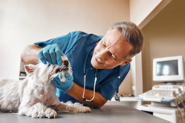 Best Emergency Treatment for Dental Infections or Abscesses in Golden Triangle, NJ