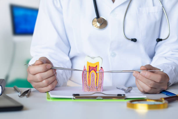 Best Emergency Dental Care for Broken or Chipped Teeth in Golden Triangle, NJ